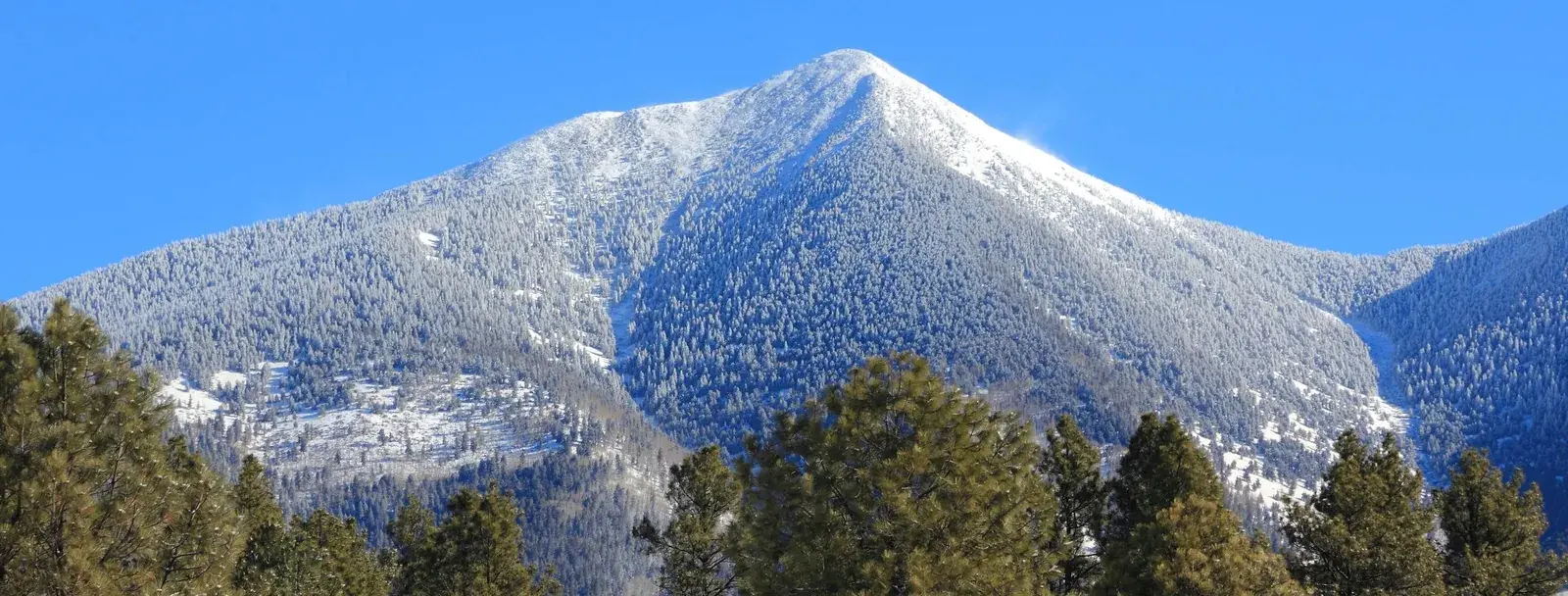 Beautiful Powder Snow Bowl Skiing in Flagstaff AZ flagstaff skiing